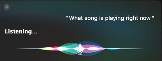 Activate Siri and Ask Question