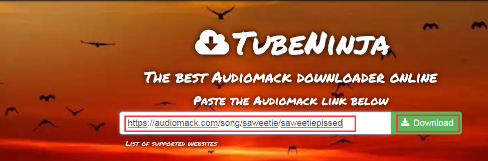 Paste Audiomack URL on TubeNinja